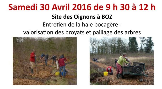 chantier3