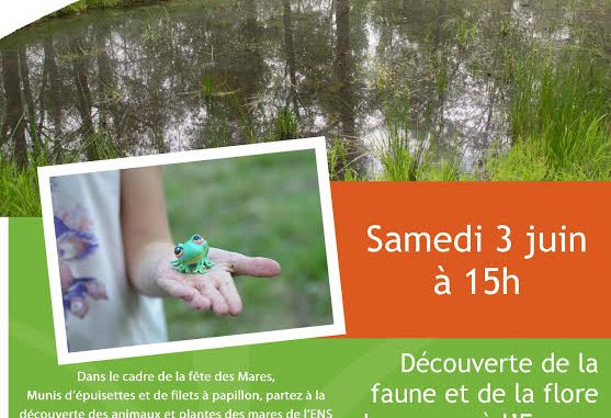 fete des mares